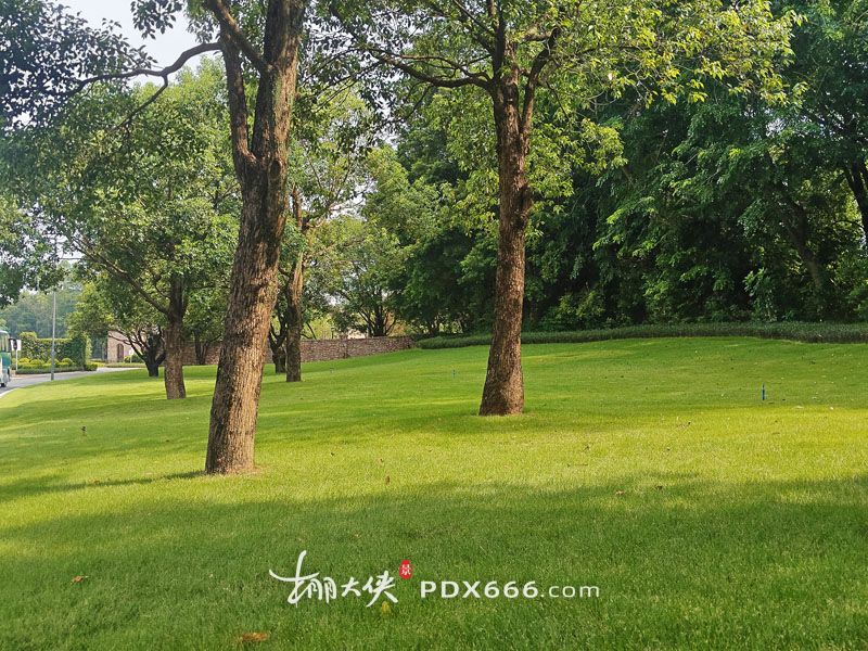 IMG20250730154044.jpg